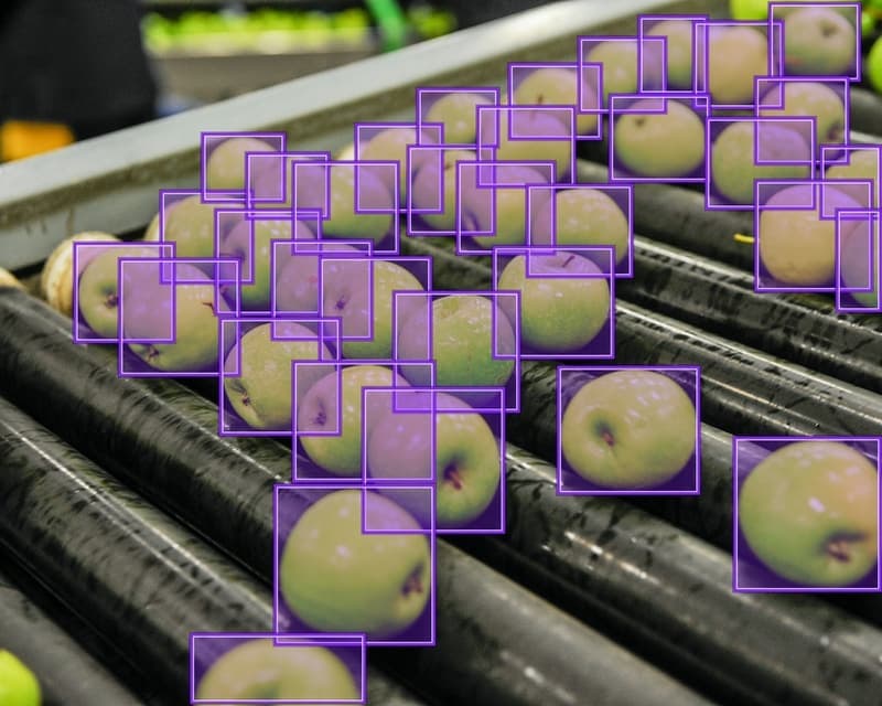 Maçãs em uma esteira de produção, com caixas roxas delimitando os objetos individualmente.